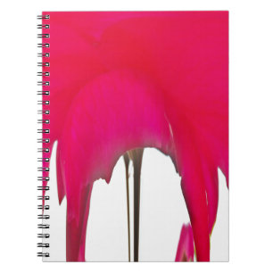 Carnet Moment capturé : Une Élégance Pétale Rose Rouge