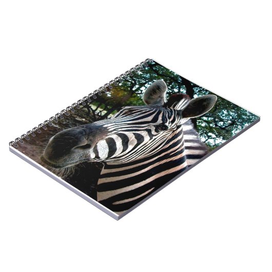 Carnet Mon ami trippé (Côté gauche)