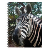 Carnet Mon ami trippé (Devant)