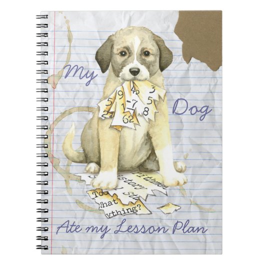 Carnet Mon Anatolien Mangé Mon plan de leçon (Devant)