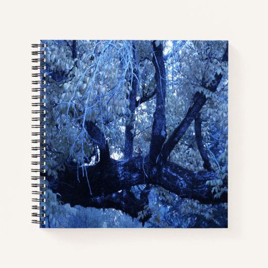 Carnet Mon Hiver bleu.... (Devant)