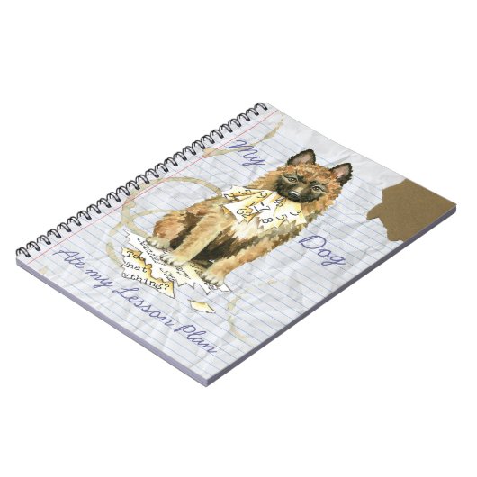 Carnet Mon Laekenois Mange Mon Plan De Leçon (Côté gauche)