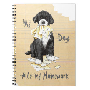 Carnet Mon modele a mangé mes devoirs