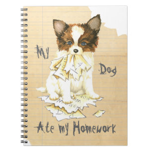 Carnet Mon Papillon a mangé mes devoirs