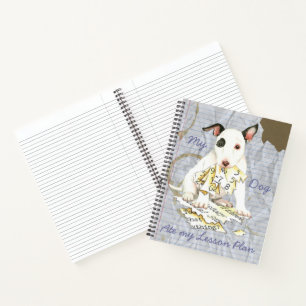 Carnet Mon plan de leçon sur la Mini Bull Mate