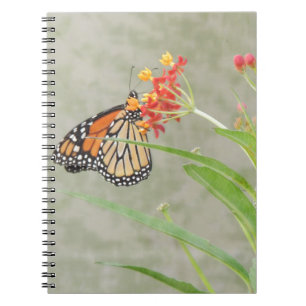 Carnet Monarch Butterfly et Caterpillar