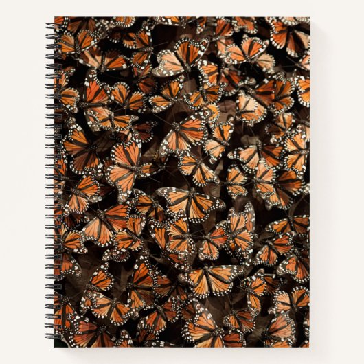 Carnet Monarque Butterflies (Devant)