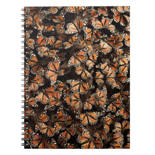 Carnet Monarque Butterflies (Devant)