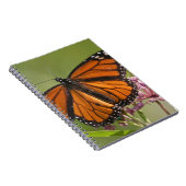 Carnet Monarque papillon mâle sur le marécage Milkweed (Côté Droit)