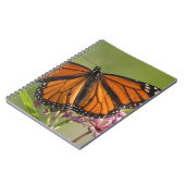 Carnet Monarque papillon mâle sur le marécage Milkweed (Côté gauche)