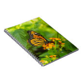 Carnet Monarque Sur Lantana (Côté Droit)