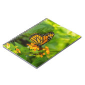 Carnet Monarque Sur Lantana (Côté gauche)