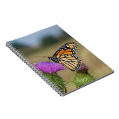 Carnet Monarque sur le pâturage Chardon Prairie Ridge (Côté Droit)