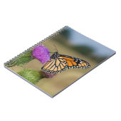 Carnet Monarque sur le pâturage Chardon Prairie Ridge (Côté gauche)