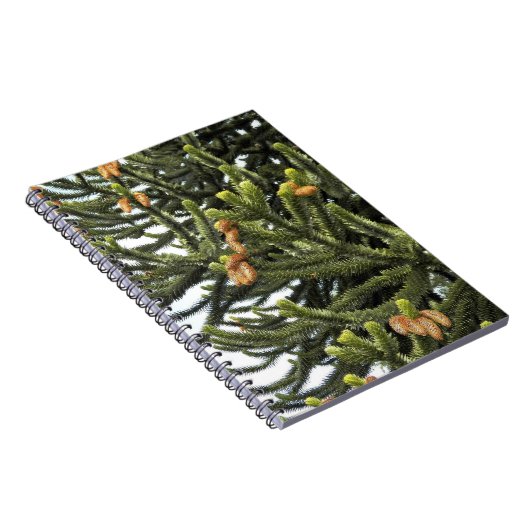 Carnet Monkey Puzzle Tree photo botanique (Côté Droit)