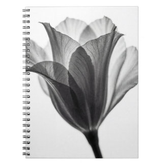 Carnet Monochrome botanical fine art photograph