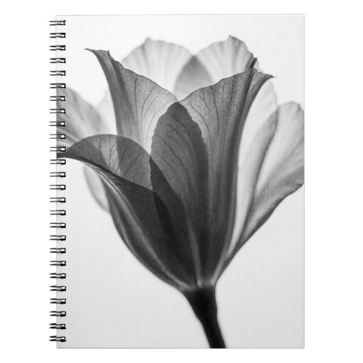 Carnet Monochrome botanical fine art photograph (Devant)