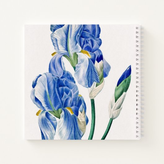 Carnet Monogramme bleu Irises (Dos)