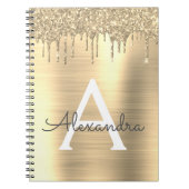 Carnet Monogramme de métal brossé pailleté or (Devant)