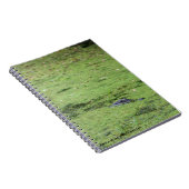 Carnet Monstre de marais (Côté Droit)