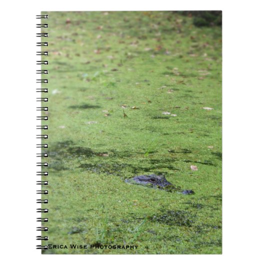 Carnet Monstre de marais (Devant)