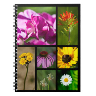 Carnet Montage Fleurs sauvages du Michigan