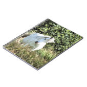 CARNET MONTAGNE CHAUDE PONY (Côté gauche)