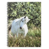 CARNET MONTAGNE CHAUDE PONY (Devant)