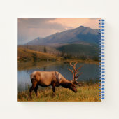 Carnet Montagnes | Jacques Mountain Range Alberta Canada (Dos)