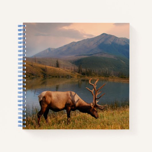 Carnet Montagnes | Jacques Mountain Range Alberta Canada (Devant)