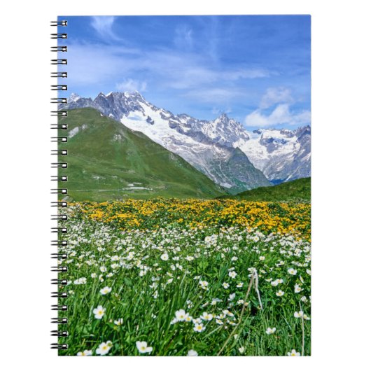 Carnet Montagnes | Swiss Alps Valley Spring (Devant)