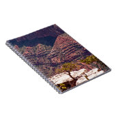 Carnet Montres Rafinesques (Côté Droit)