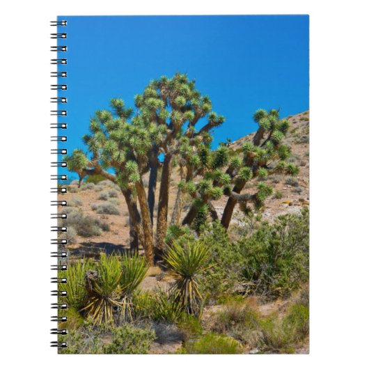Carnet Monument national de Gold Butte (Devant)
