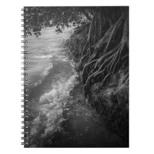 Carnet Moody Mangrove Roots noir et blanc Photo