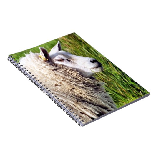 CARNET MOQUETTE (Côté Droit)