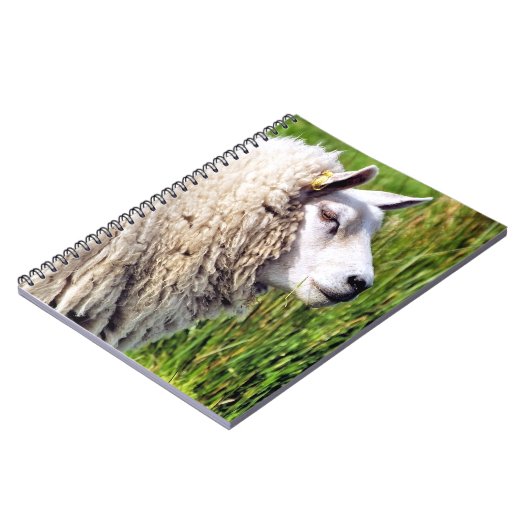 CARNET MOQUETTE (Côté gauche)