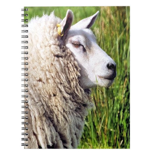 CARNET MOQUETTE (Devant)