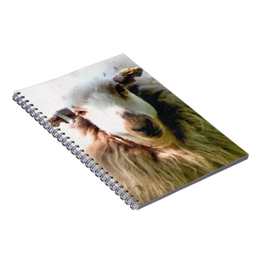 CARNET MOQUETTE (Côté Droit)