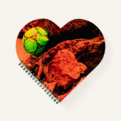 Carnet mosquitus (Devant)