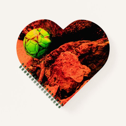 Carnet mosquitus (Devant)