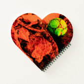 Carnet mosquitus (Dos)