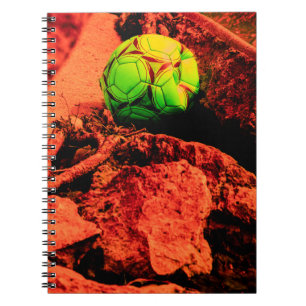 Carnet mosquitus