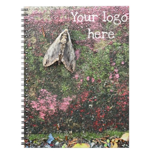 Carnet Moth inspirée par la nature (Devant)