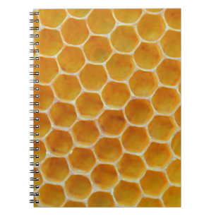 Carnet Motif carré Brown et blanc
