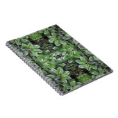 Carnet Motif de feuille d'hévéa (Côté Droit)