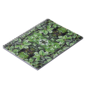 Carnet Motif de feuille d'hévéa