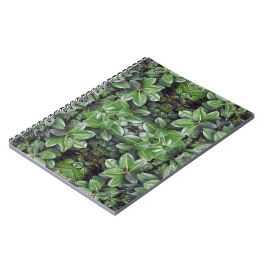 Carnet Motif de feuille d'hévéa (Côté gauche)