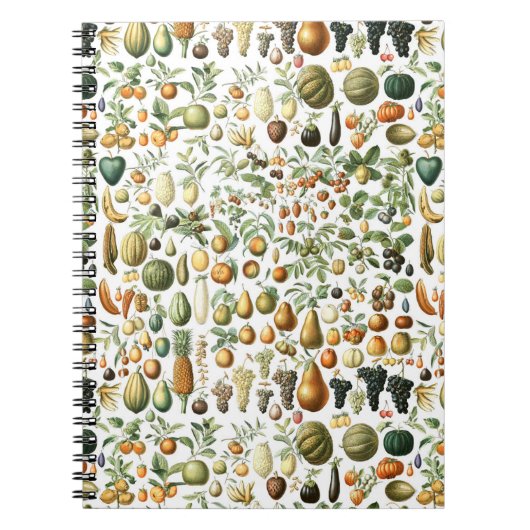 Carnet Motif de fruits de l'Adolphe Millot (Devant)