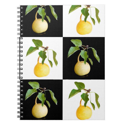 Carnet Motif de poires sauvages (Devant)