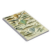 Carnet Motif de poisson Adolphe Millot-A (Côté Droit)